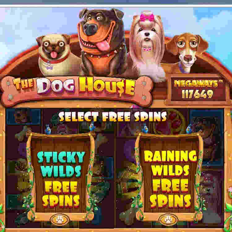 dog house slot free