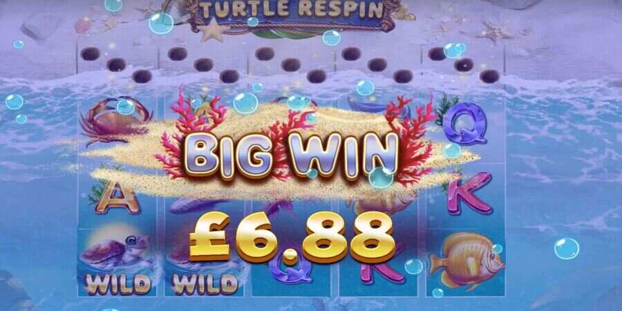 Turtle Paradise big win