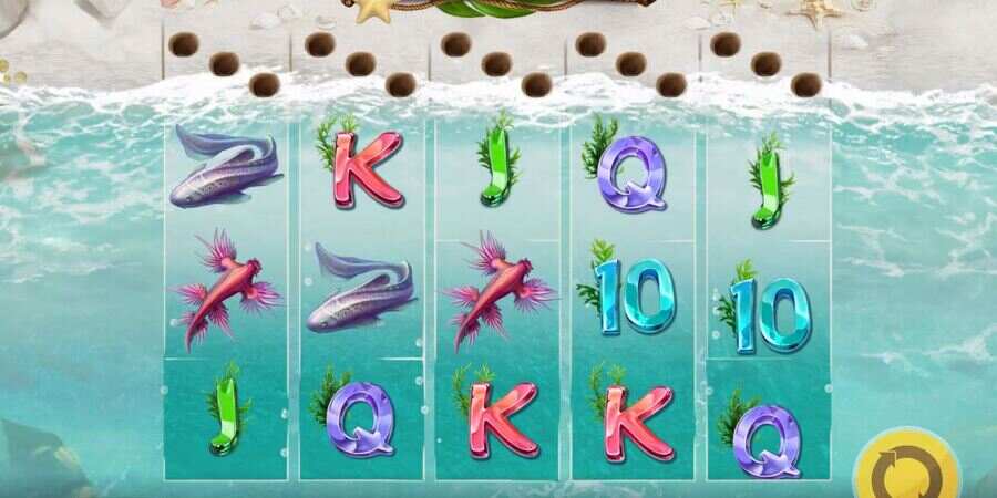 Turtle Paradise Slot Game