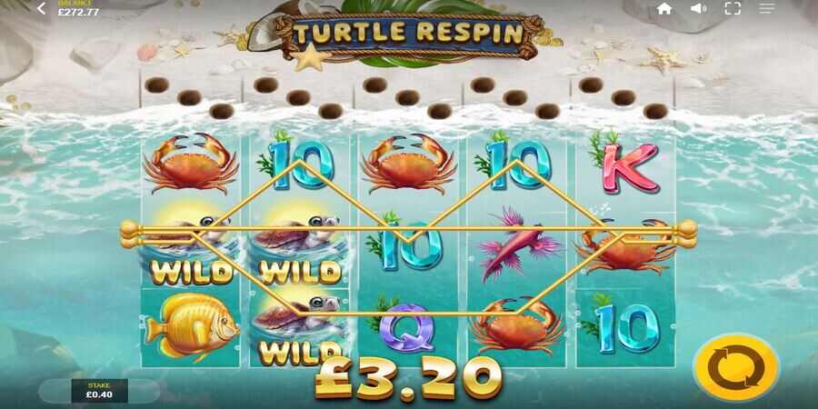 Turtle Paradise repsins