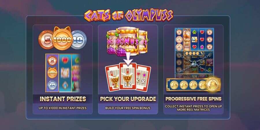 Cats of Olympuss Slot features