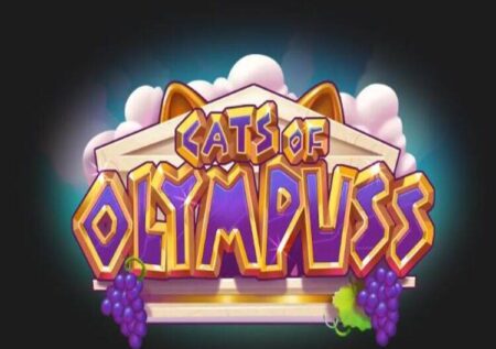 CATS OF OLYMPUSS SLOT REVIEW